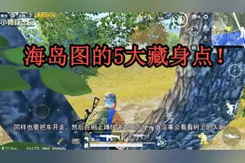刺激战场：海岛图的5大绝密藏身点！大神：第三个我都没去试过！
