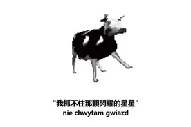 跳舞的波兰牛 Dancing Polish Cow  歌曲  歌词中文翻译版
