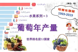 水果系列-3：1969-2019年间世界各国葡萄年产量对比视频封面