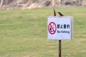 路亚为什么禁钓？看完秒懂。#路亚 #2023dou来钓鱼 #钓鱼