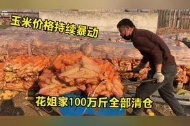 河北玉米价格持续变动，花姐家100万斤全部清仓，看2月28号多少钱视频封面