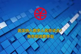 数字人民币试点城市发了4批都没有武汉，下一次总该有吧？视频封面