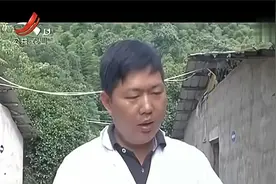养殖户在一千只的野鸡群中 发现突变的品种 将其命名孔雀蓝山鸡视频封面