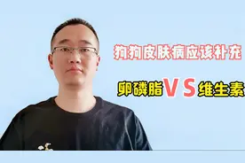狗狗皮肤病，卵磷脂和维生素，那个更适合呢？视频封面