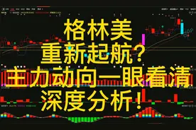 A股：格林美重新起航？主力动向一眼看清，深度分析！视频封面
