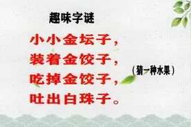 “小小金坛子，装着金饺子，吃掉金饺子，吐出白珠子”打一水果？视频封面