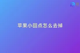 苹果小圆点怎么去掉