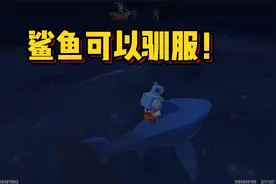 迷你世界你不知道的冷知识！鲨鱼可以驯服当坐骑？