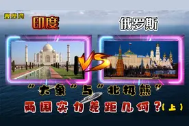 印度与俄罗斯实力对比（上）：“大象”与“北极熊”差距几何？