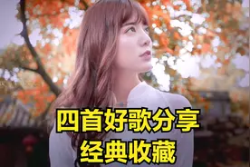 《阿兰的个人专辑，4首经典好歌》真好听，不收藏会后悔！