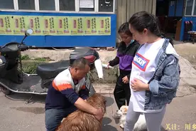 外婆养了8只老母鸡，舅妈还送了4只，全被小妹儿打包带回家了