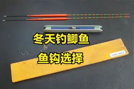 冬天野钓鲫鱼，鱼钩大小和钩型如何选？看老钓友平时都是怎么用的视频封面