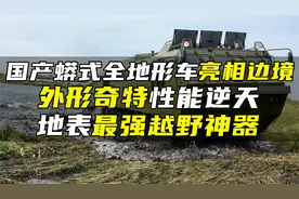 国产蟒式全地形车亮相边境，外形奇特性能逆天，地表最强越野神器视频封面