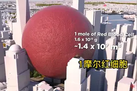 1摩尔数量的物质体积有多大？3D动画演示对比