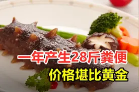 一年产生28斤粪便，价格堪比黄金，海参到底有哪些作用？