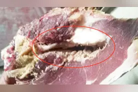 长蛆的腊肉你吃得下吗，今天我特意炖了一锅