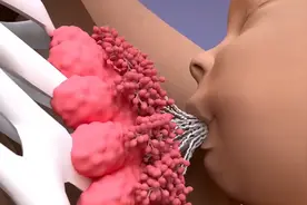 母乳喂养乳汁的形成过程？原来宝宝的吮吸是开关！3D科普视频封面