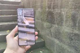 OPPO Find X3 拍照太绝了！把小姐姐拍得太绝了！视频封面