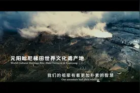 联合国《生物多样性公约》缔约方大会云南宣传片《云南密码》视频封面