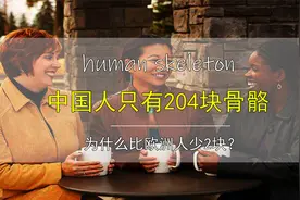 人一共有206块骨头，为何中国人只有204块？揭秘其中奥秘！