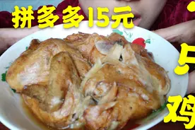 小伙拼多多网购15元一只的德州扒鸡，吃完后明白了一分价钱一分货视频封面