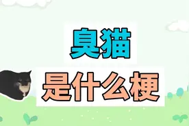 臭猫是什么梗？臭猫臭在哪里了视频封面