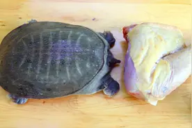 川菜师傅教你霸王别姬，汤鲜肉美营养好吃，春季就该多喝这碗汤