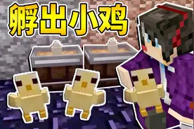 我的世界机械牧场117：重金购买孵化器，孵化出多只小鸡