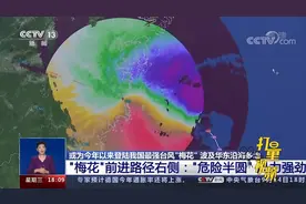 台风“梅花”前进路径右侧：“危险半圆”风力强劲|共同关注视频封面