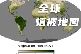 全球植被地图