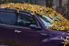 汽油有保质期吗？放油箱里长久不开问题大不大？一次给你说清楚