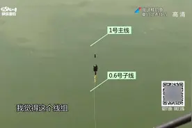 越短的子线越不易被发现？事实上完全相反，长线更易降低鱼警惕性