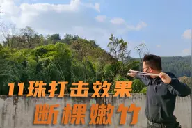 小野哥试试弹弓断竹，技术还有待提升，大家看看打击效果得了