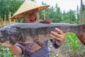 山药买10斤花鲢煮鱼火锅，去掉鱼骨放锅里一烫，吃上一口满嘴留香