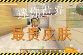 迷你世界：粉丝让我看他定制皮肤，保守估计至少一个亿！