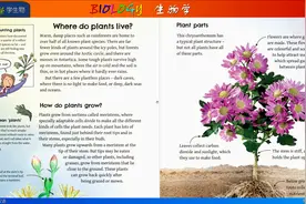 BIOLOGY 20 Plants grow 植物生长 跟常荣学生物 英文版 4K