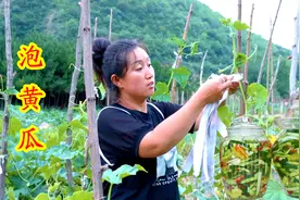 去霞姐家摘了一筐黄瓜，改艳做了泡黄瓜，方法简单酸甜爽口又开胃