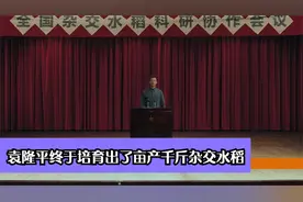 研究数十年，历尽千难万险，袁隆平终于培育出了亩产千斤杂交水稻视频封面
