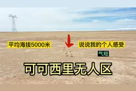 可可西里无人区，海拔5000米，一路看雪山青藏铁路藏羚羊，太美了视频封面