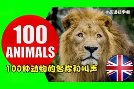 少儿英语-100种动物的中英文名称和叫声视频封面