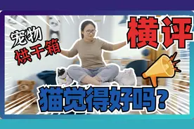 解放双手的宠物烘干箱，买它前到底要看啥？视频封面
