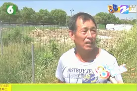 农户在嘉兴海宁种地瓜 一场雨后全被淹瓜烂一地 旁边施工坏了事？视频封面