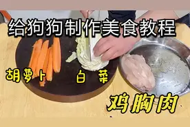 狗狗最爱的美食，鸡胸肉、胡萝卜做法简单易学，三大盆不够吃！视频封面