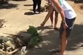 国外冒险达人惊险刺激惊奇搞笑挑战极限运动3视频封面