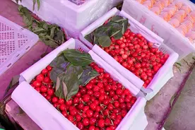 同1品种的大樱桃，为什么批发价竟比零售价还贵这么多？并不简单视频封面