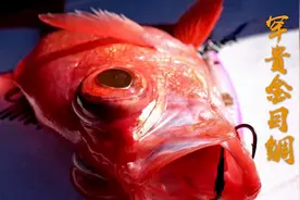 日本国鱼？小伙500米深海钓上罕贵金目鲷，连呼开心！