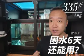 335号 养鱼困水几天合适 我这都6天了 OMG！视频封面