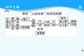 海韵教育丨初中生物　人教版　7下　005．人的由来（复习课）视频封面