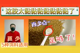 用量不超1%的红虫胶什么样？5类饵料适用，一瓶2年用不完