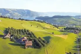 【60分钟轻音乐】飘落的枫叶就像我的思念。